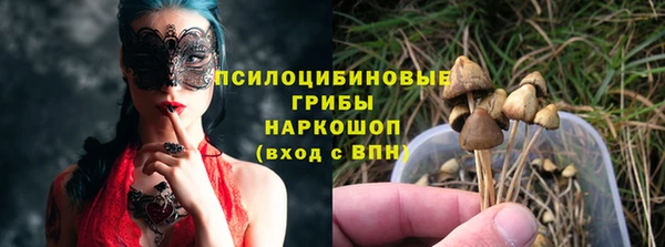 мяу мяу мука Алексеевка